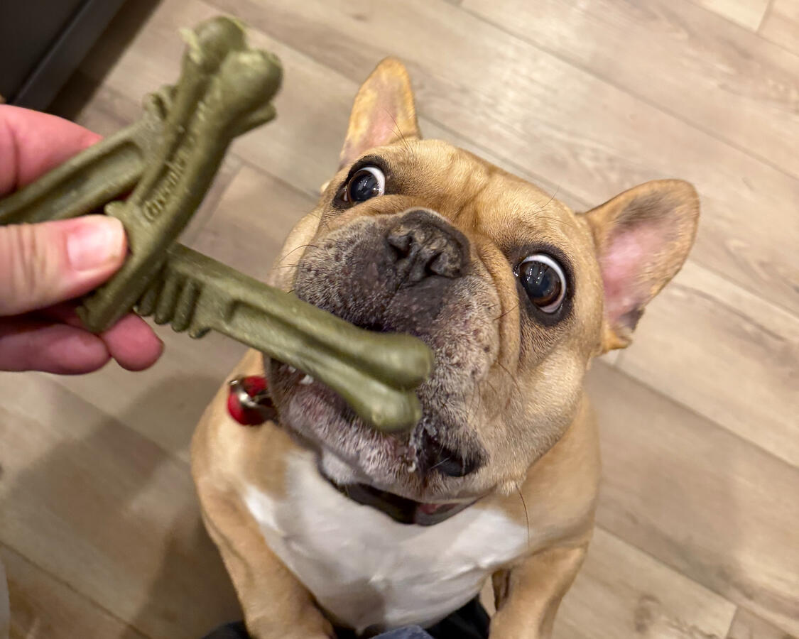 Cammy so excited for his Greenie Cammy so excited for his Greenie